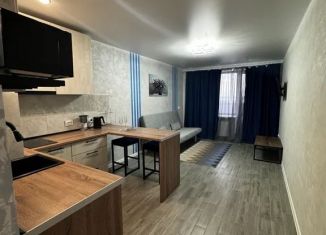 Квартира в аренду студия, 29 м2, Никольское, Советский проспект, 138А