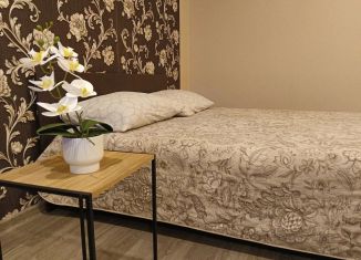 Аренда однокомнатной квартиры, 38 м2, Саратов, улица имени Б.Н. Ерёмина, 7