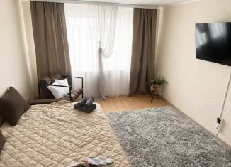 Сдается в аренду 1-ком. квартира, 29 м2, Мурманск, проспект Героев-Североморцев, 15к1