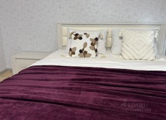 Сдаю в аренду 1-ком. квартиру, 40 м2, Воронеж, улица Пескова, 8
