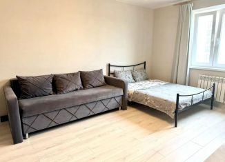 Сдам в аренду квартиру студию, 25 м2, Московская область, 3-й микрорайон, 18
