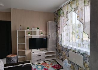 Продаю 1-комнатную квартиру, 23.9 м2, Псковская область