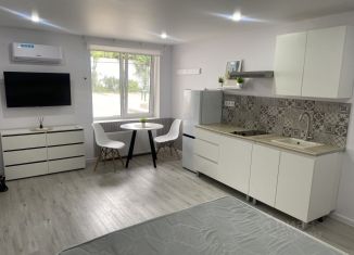 Продам квартиру студию, 23.6 м2, Краснодарский край, улица Шевченко, 252