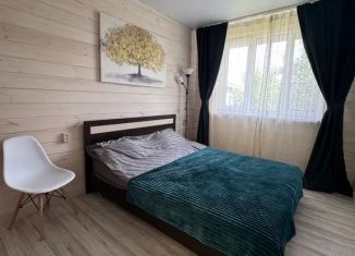 Сдача в аренду дома, 42 м2, Казань, Авиастроительный район