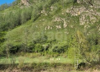 Продается участок, 210 сот., Республика Алтай, Проездной переулок