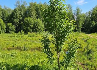 Продам участок, 15 сот., Карелия, Совхозная улица