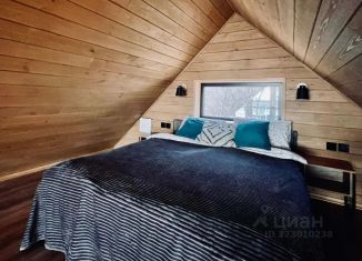 Сдается в аренду дом, 48 м2, Саратовская область, СНТ Чардым, 4