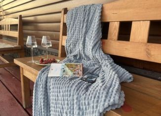 Дом в аренду, 45 м2, село Городковичи, Озёрная улица, 23