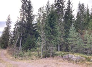 Продажа участка, 12 сот., Карелия
