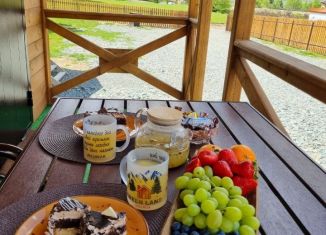 Дом в аренду, 38 м2, Теберда