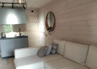 Сдаю дом, 30 м2, Псковская область, улица Матросова, 45