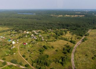 Продажа участка, 450 сот., деревня Бор