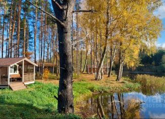 Сдается в аренду дом, 30 м2, Псковская область
