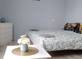 Дом в аренду, 55 м2, Мышкин, Солнечная улица, 89