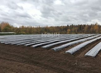 Продам участок, 1143 сот., Карелия