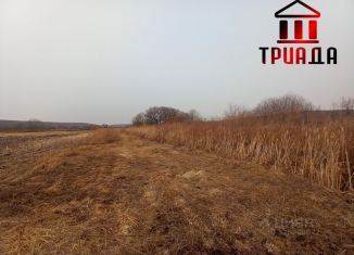 Продажа участка, 97 сот., село Кроуновка