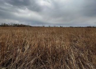 Продам земельный участок, 4.8 сот., село Ракитное