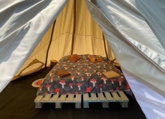 Сдача в аренду дома, 10 м2, Псковская область