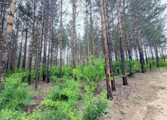 Продается земельный участок, 10.24 сот., КП Сосновые берега