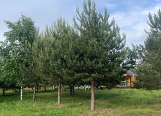 Дом в аренду, 56 м2, Тверская область, деревня Уницы, 1