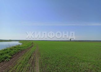 Продаю земельный участок, 2480 сот., Томская область