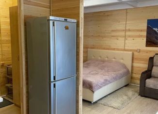 Сдача в аренду дома, 30 м2, Республика Алтай