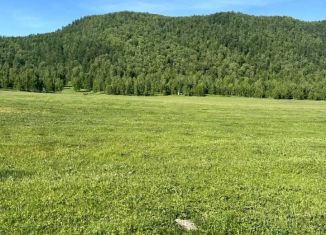 Продажа участка, 1500 сот., Республика Алтай