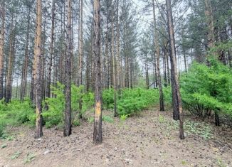 Продаю участок, 10 сот., Забайкальский край