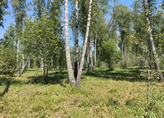 Продажа участка, 8.5 сот., поселок Черемшанка, улица Мира