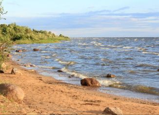 Продам земельный участок, 41 сот., Псковская область