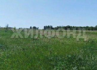 Продаю земельный участок, 15 сот., Алтайский край