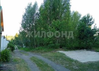 Продается участок, 12 сот., Новосибирская область, НСТ Энергия-5, 388