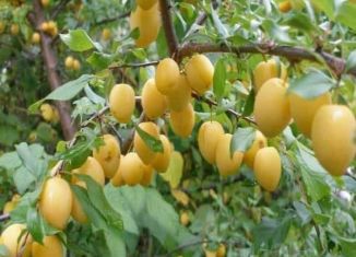 Продажа участка, 8 сот., деревня Кременки