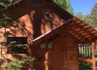 Сдаю в аренду дом, 22 м2, Республика Алтай, Ореховая улица, 11А