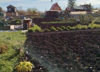 Дача на продажу, 24 м2, Новосибирская область