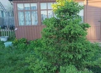 Продажа земельного участка, 12 сот., село Совхоз Сибиряк, Садовая улица