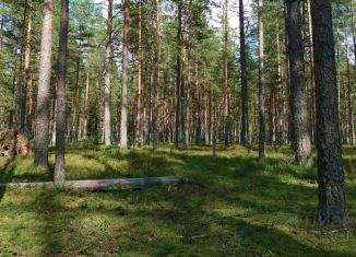 Продам земельный участок, 192 сот., село Лютово