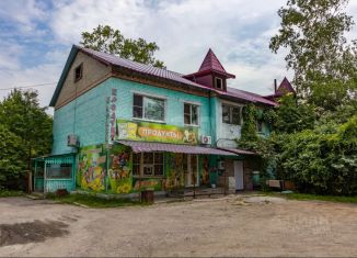 Продаю дом, 427 м2, село Заозёрное, улица Петра Черкасова, 9А