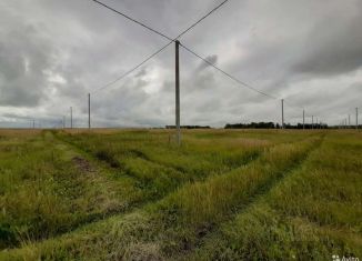 Продам участок, 15 сот., деревня Шимаковка