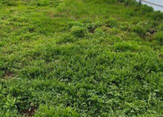 Земельный участок на продажу, 5 сот., СНТ Чайка