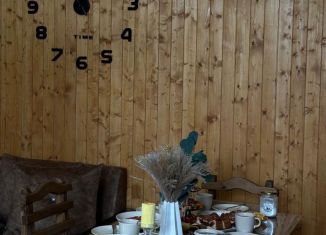 Сдается дом, 100 м2, Дагестан, ДНП Нефтяник, 67