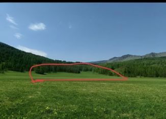 Продам земельный участок, 28 сот., Алтайский край, Лесная улица