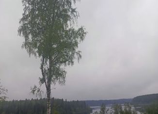Продам участок, 350 сот., деревня Нелюшка