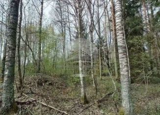 Продаю земельный участок, 1100 сот., деревня Усторонье