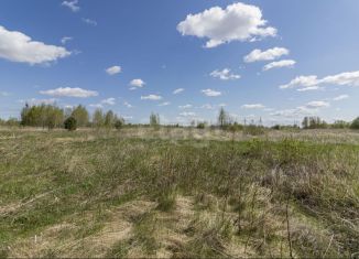 Продается участок, 15 сот., село Борки
