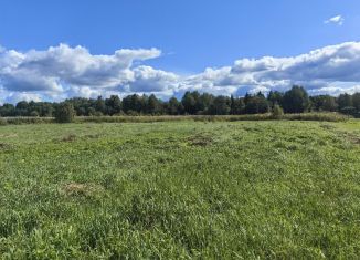 Земельный участок на продажу, 16 сот., деревня Весь
