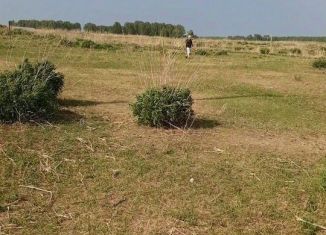Участок на продажу, 8 сот., село Сенчанка