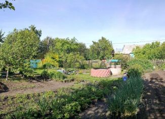 Продажа дачи, 10 м2, Омск, Ленинский округ, 11-я аллея, 503