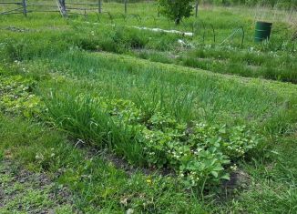 Продам дом, 28 м2, Новосибирская область