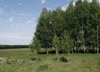 Продажа земельного участка, 25 сот., село Зональное
